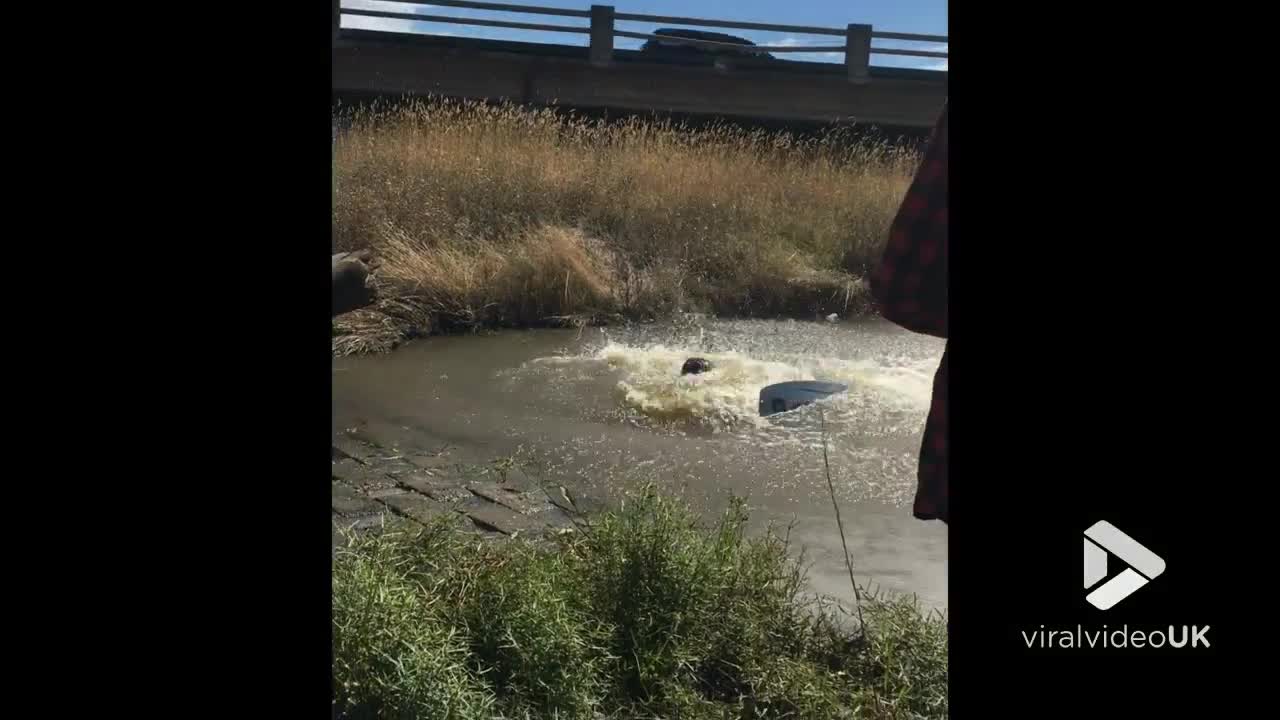 Wakeboarding log jump fail