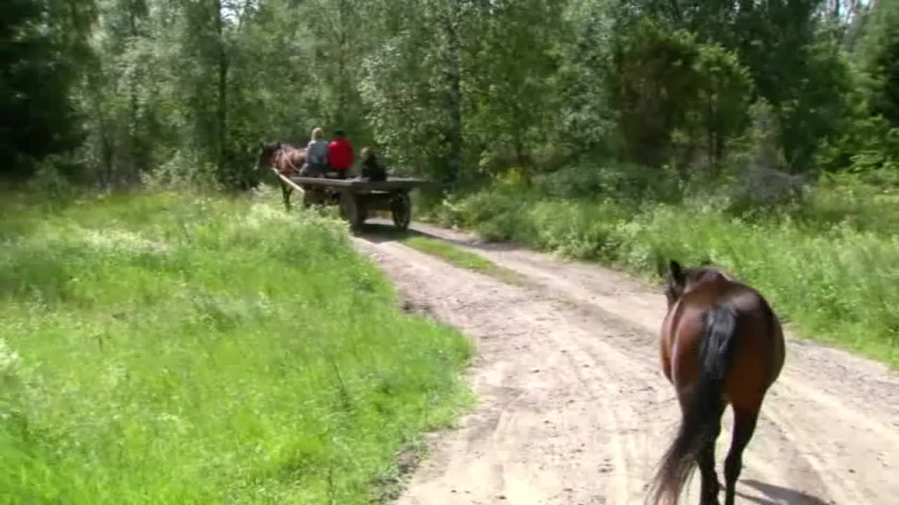 Farmen 2016 Säsong 9 E04