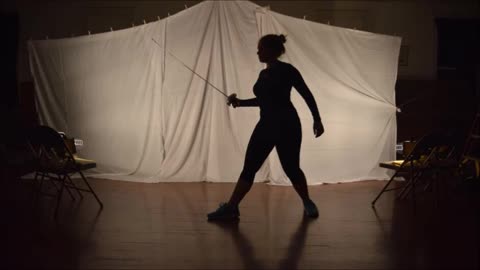 Fencer in Silhouette