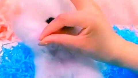 China cute Dogi - Cute and Funny Dog