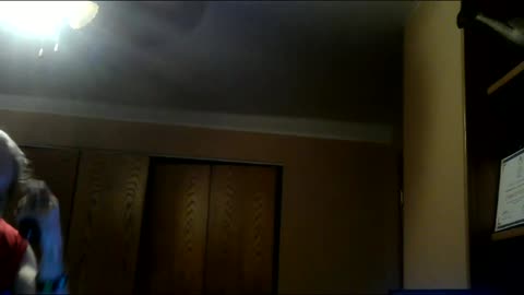Cyraxx Youtube 2021-8-8 A Dose of real life (False Start)