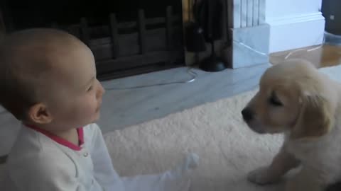 Toddler meets a puppy for First Time due to pandemic