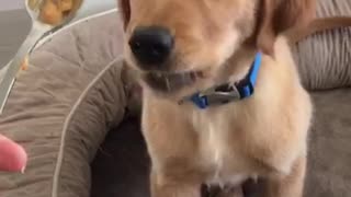 “is peanut butter a carb?”