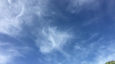 Clearing the skies with White Vinegar