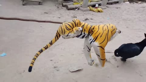 Fake Tiger Pranks on Dog! So funny!