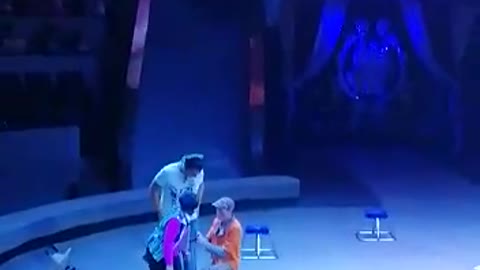 Beautiful performances in the circus.