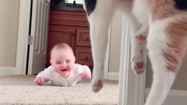 smiling baby and kitten