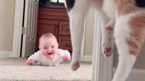 smiling baby and kitten