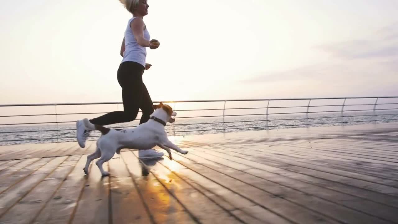 Young woman running with cute dog Jack Russel near the sea