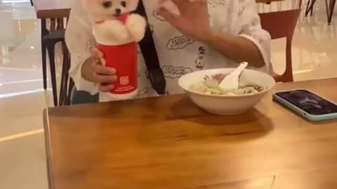 Hi! Where is my drinks? ❤️