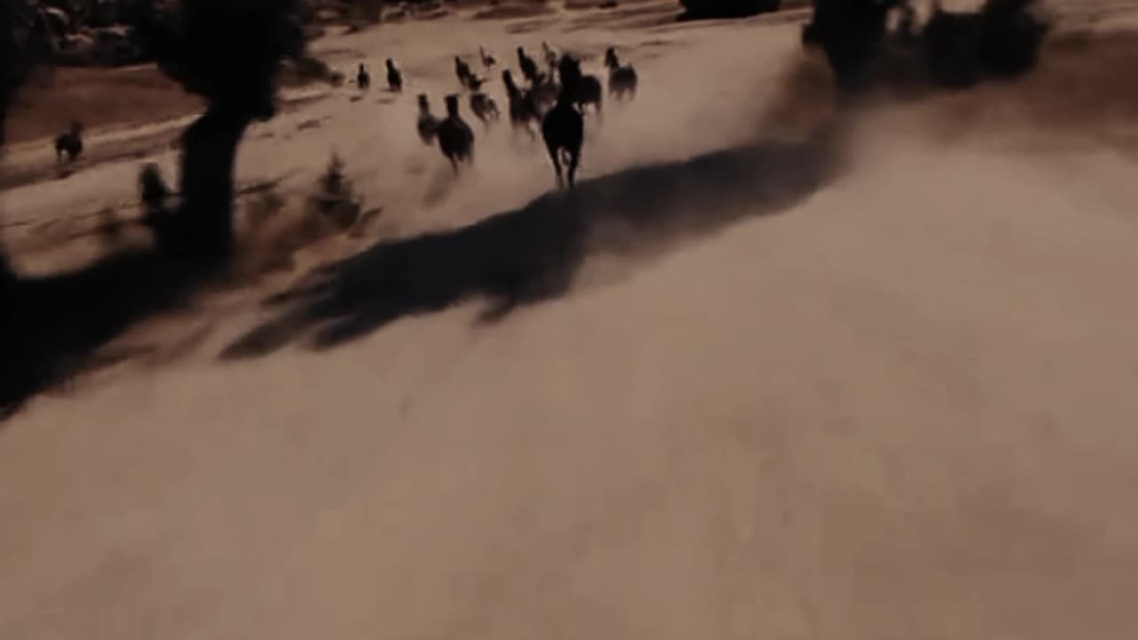 Horse run | Horse riding |