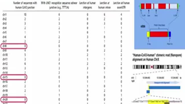 Politics - 2022 Covid-19 Vaccine Poison Alters Human Genome