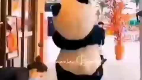 Panda!! Catch the panda