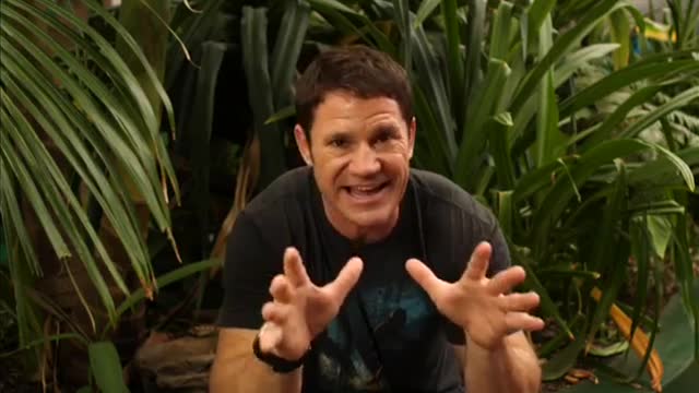 *YouTube Exclusive* Steve Backshall on the world's deadliest snake | Deadly 60 in Australia