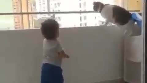 A funny video of a cat preventing a little boy from harming himself from upstairs