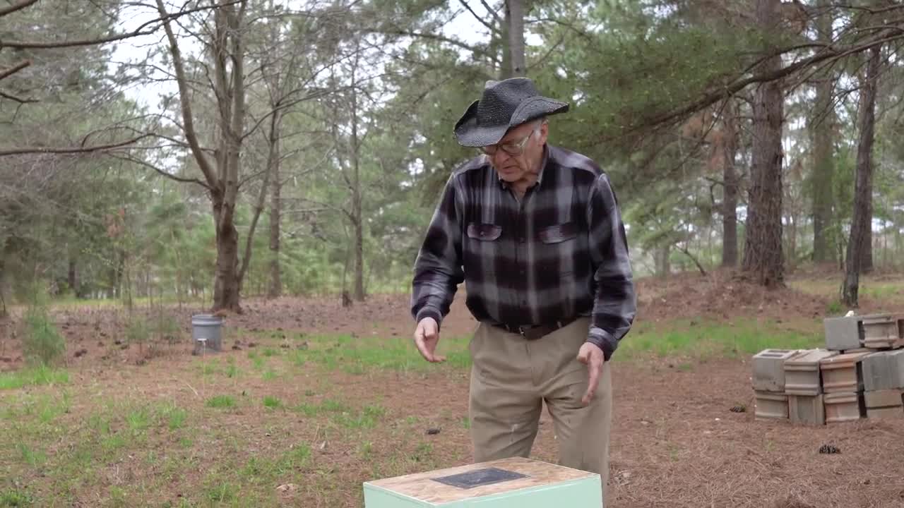 Beekeeping For Beginners