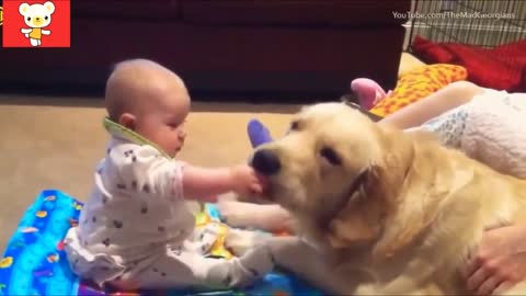 Cats, dogs and children’s funny pets & babies best compilation 2021!!!