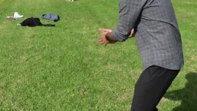 The dog catching a ball fun with zach king 😂