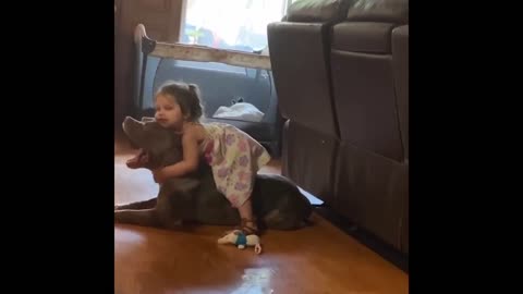 Abusive child attack pitbull and this happened [Good dog,bad owner?]