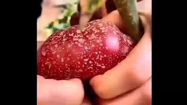 🗡️🗡️🗡️ Fruit cutting video