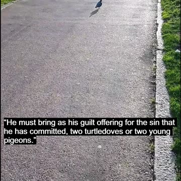 The Poor Are Not Forgotten