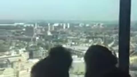 Gemente Utrecht