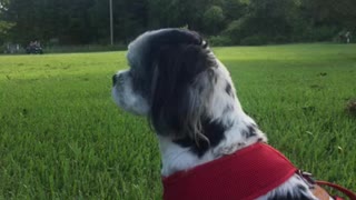 Watching the Wheels Go Around