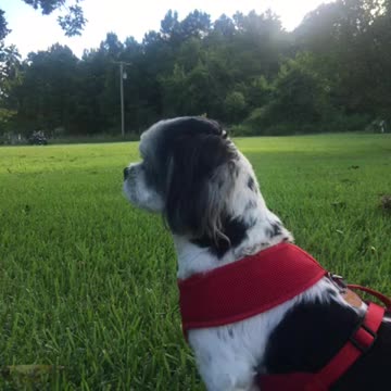 Watching the Wheels Go Around