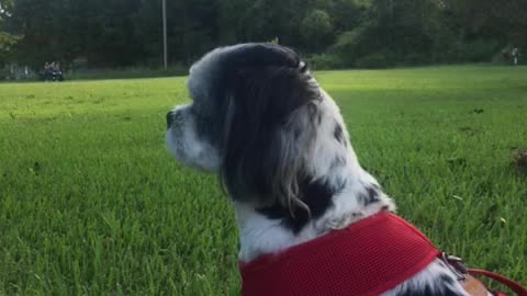 Watching the Wheels Go Around