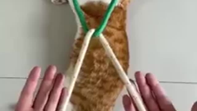 Awesome Rope Trick