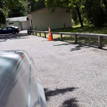 Cheeky firewood gathering.