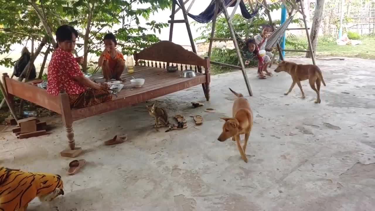 Nice Fake Tiger Prank Dog