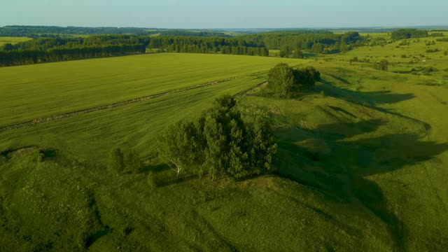 Beautiful nature | vast green nature