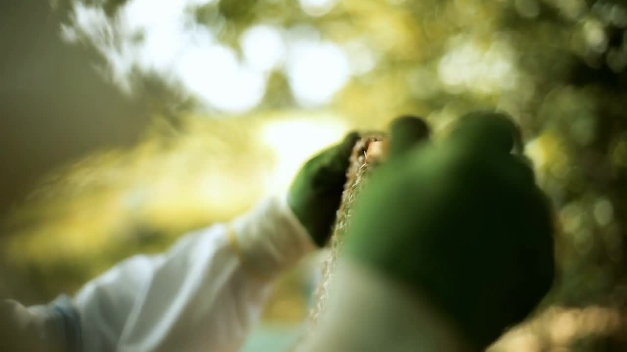 A beekeeper hiver man, checks how the bees prepare honey