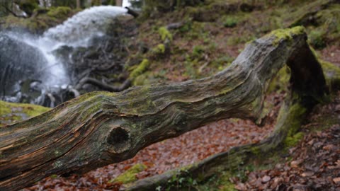 Burrator Reservoir Yelverton Dartmoor Devon Britain