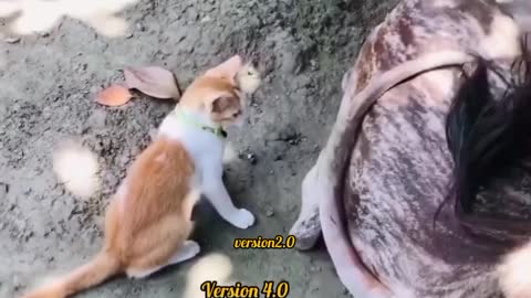 When the cat wants to eat the cow's tail