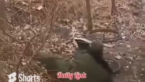 Perfect Example Of Loyalty #shorts #shortvideo #video #virals #videoviral