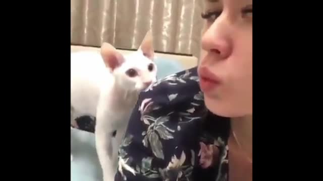 Stop acting silly