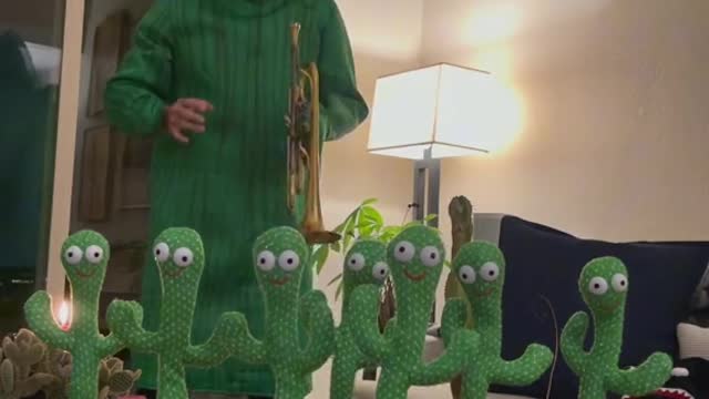 Dancing Cactus LOL so cute