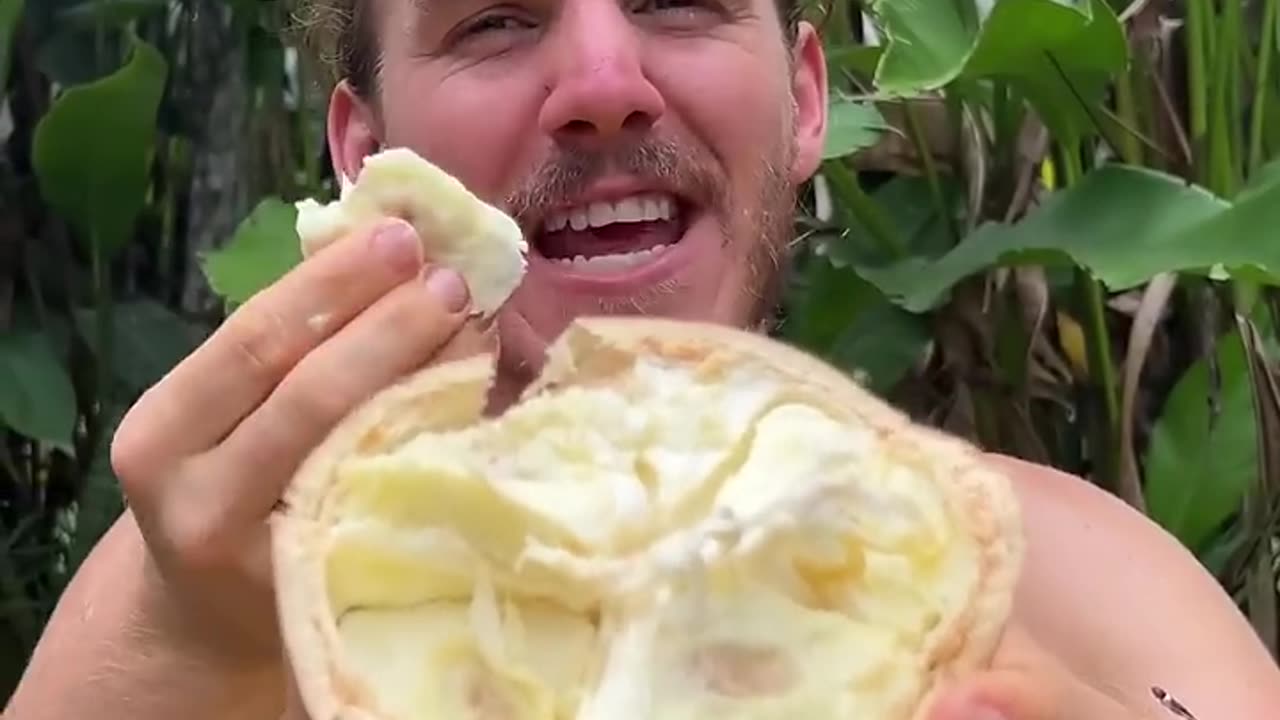 Dinosaur Egg Fruit #7