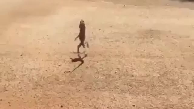 WHAT A FUNNY WAY TO RUN AWAY 😂