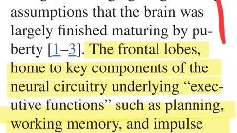 FRONTAL LOBE!