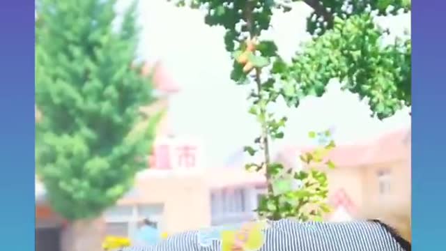smart dog #saddog #cutedog #sadcuteandsmartdog #short #smartdognew videos2021 #cuteexpressionofdog