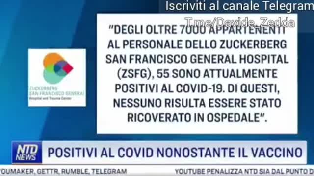 TG Stati Uniti - Situazione USA