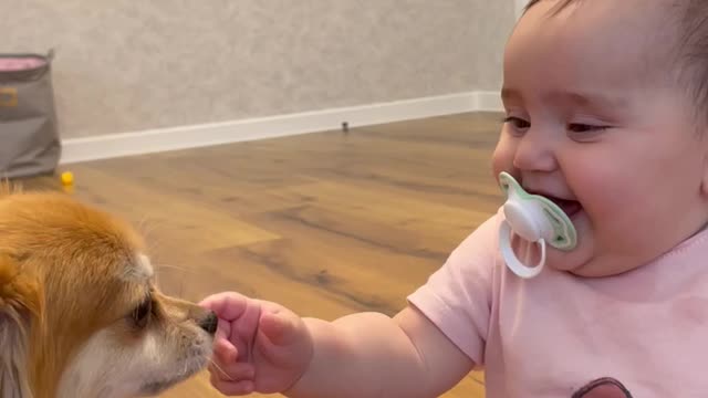 A girl laughs at a dog