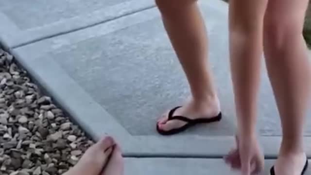 This cats and dogs are funny 😂