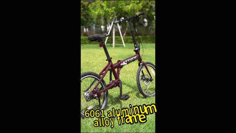 Share shaft driven chainless folding bike!