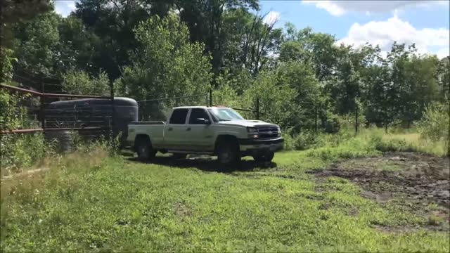 2019 Pig Grazing Season Kickoff