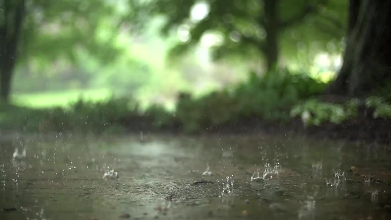 BEAUTIFUL Raindrops in Super Slow Motion, Nature Background