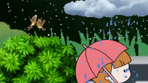 A Fabulous Rainy Night